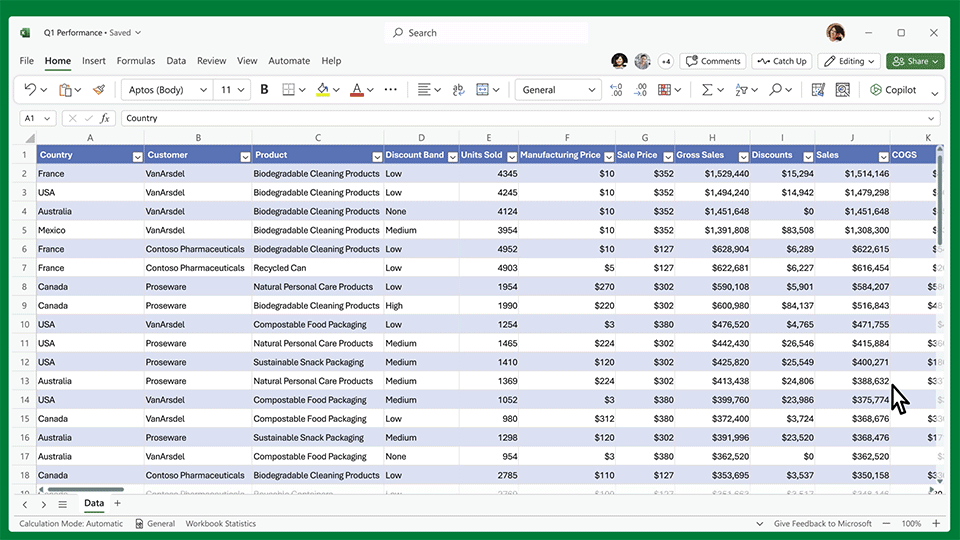 Een voorbeeld van Copilot in Excel